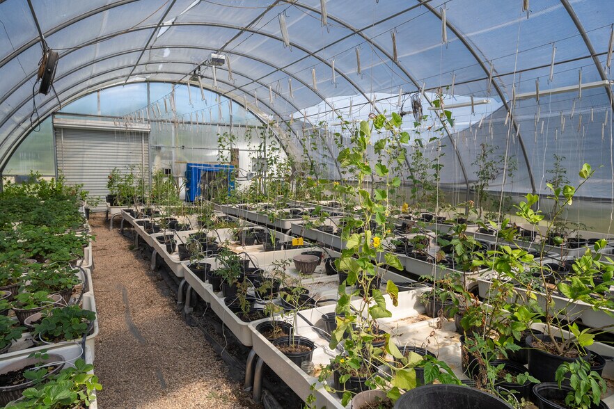 More Photos Of 6529 Asher Rd, Alvarado Specialty For Sale