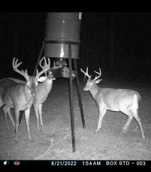 More Photos Of 7483 Highway 252, Honea Path Lodge Meeting Hall For Sale