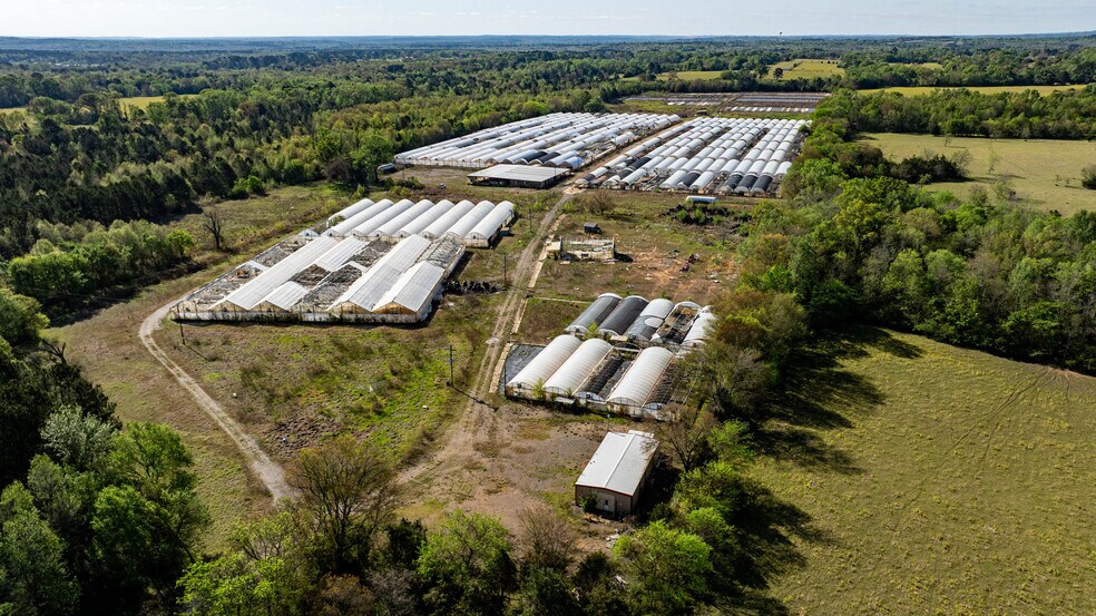 Primary Photo Of 11888 County Road 345, Winona Land For Sale