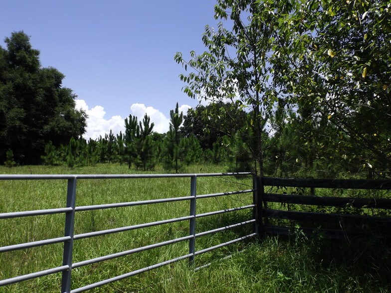 More Photos Of Myrtle Lake Ave, Fruitland Park Land For Sale