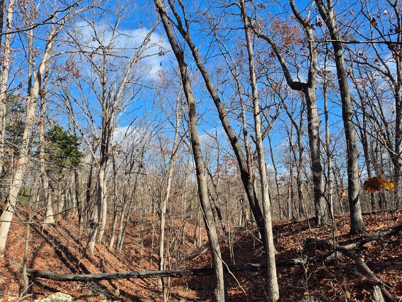 More Photos Of Logan School Rd. (30.2+/- Acres), New Florence Land For Sale