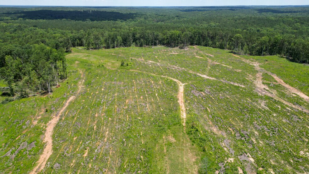 More Photos Of Muckaway Rd, Abbeville Land For Sale