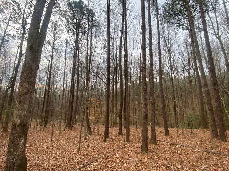 More Photos Of 140 Cora Dr, Columbia Land For Sale