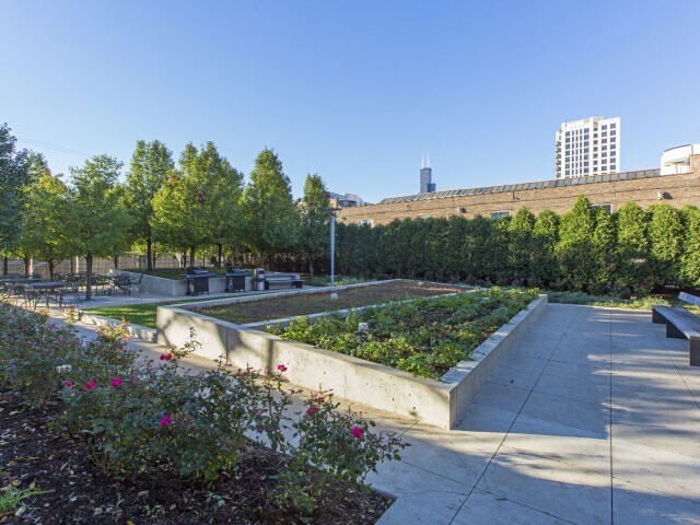 More Photos Of 1401 S State St, Chicago Apartments For Lease