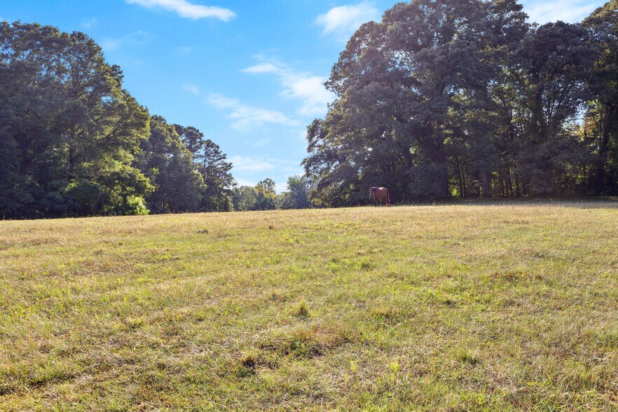 More Photos Of 4091 Hollonville Rd, Williamson Land For Sale