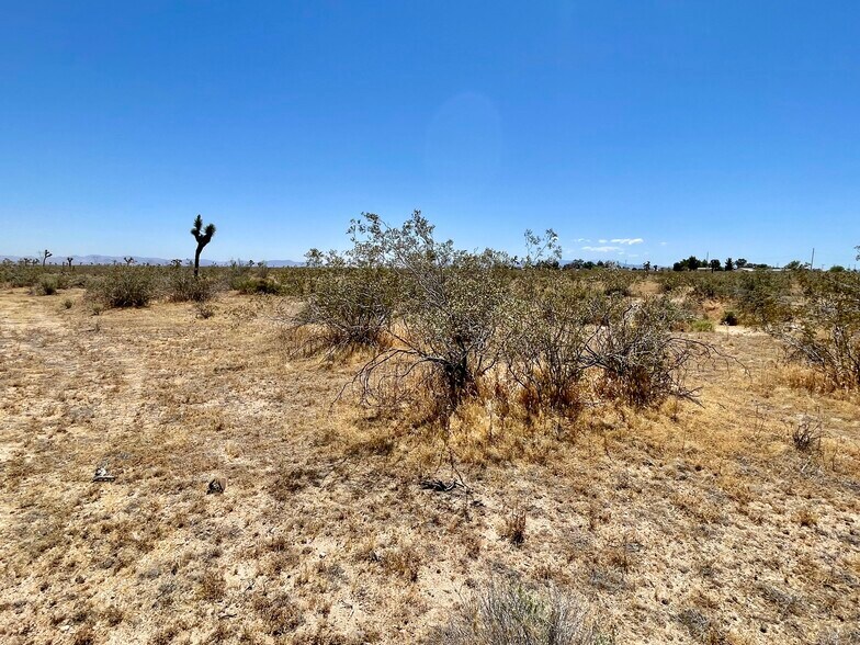 More Photos Of Nevada Rd @ South St., Phelan Land For Sale