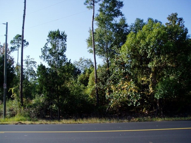 More Photos Of US Highway 98, Lillian Land For Sale