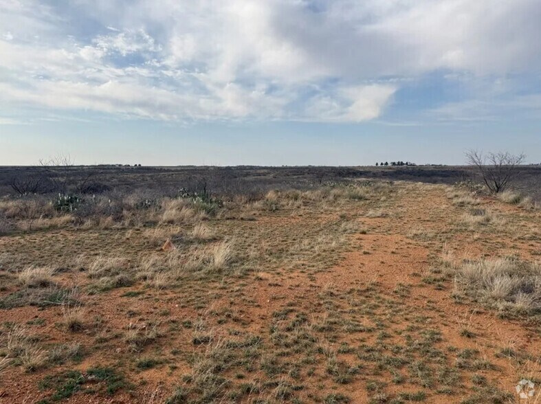 More Photos Of 01 Farm to Market Road 2319, Loraine Land For Sale