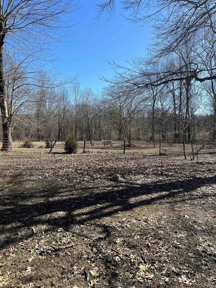 More Photos Of 75 Hillandale Dr, Russellville Land For Lease