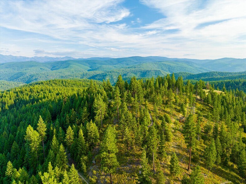 More Photos Of 7000 Graves Creek Rd, Lolo Bar For Sale