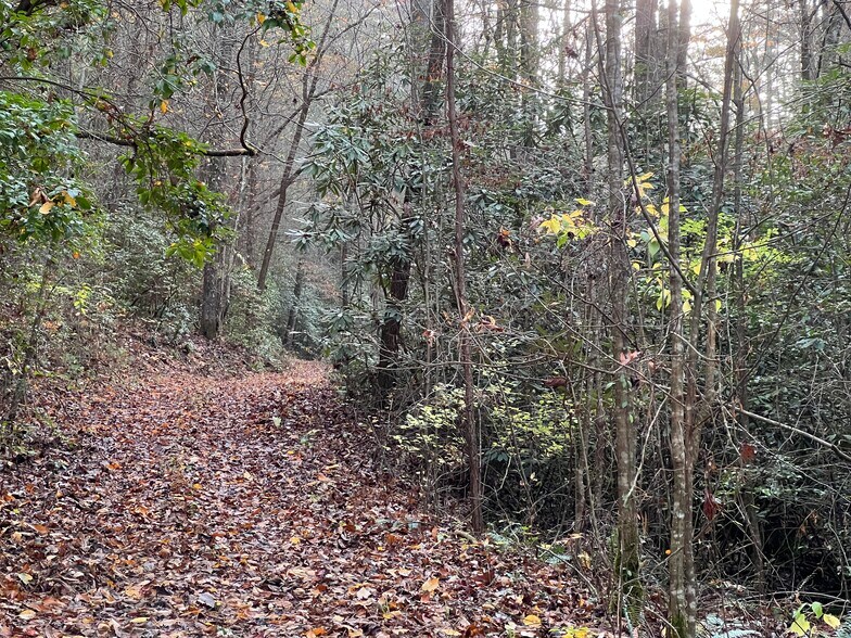 More Photos Of Whitecliff Drive, Ellijay Land For Sale