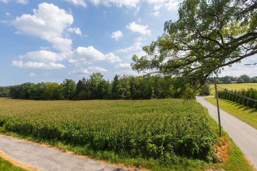 More Photos Of LOT 6 Markoe Road, Monkton Land For Sale