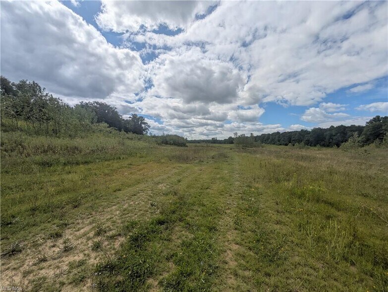 More Photos Of 9019 Sr 45 Rd, Rome Land For Sale
