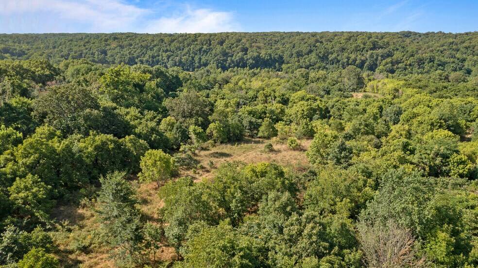 More Photos Of 0 Sugar Creek Road, Pea Ridge Land For Sale