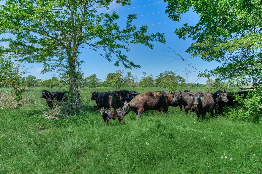 More Photos Of 27240 Old 105 W hwy, Dobbin Land For Sale