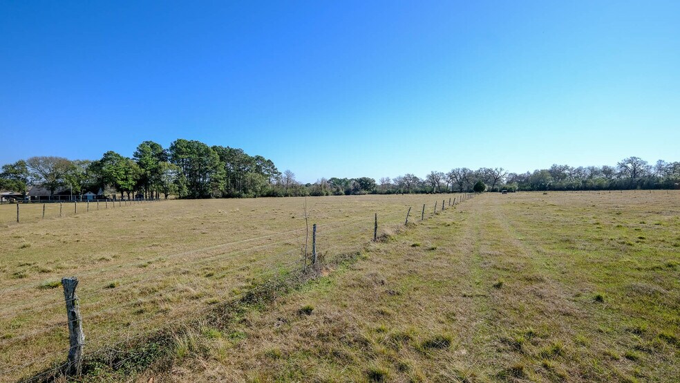 More Photos Of 26266 Fields Store Rd., Waller Land For Sale
