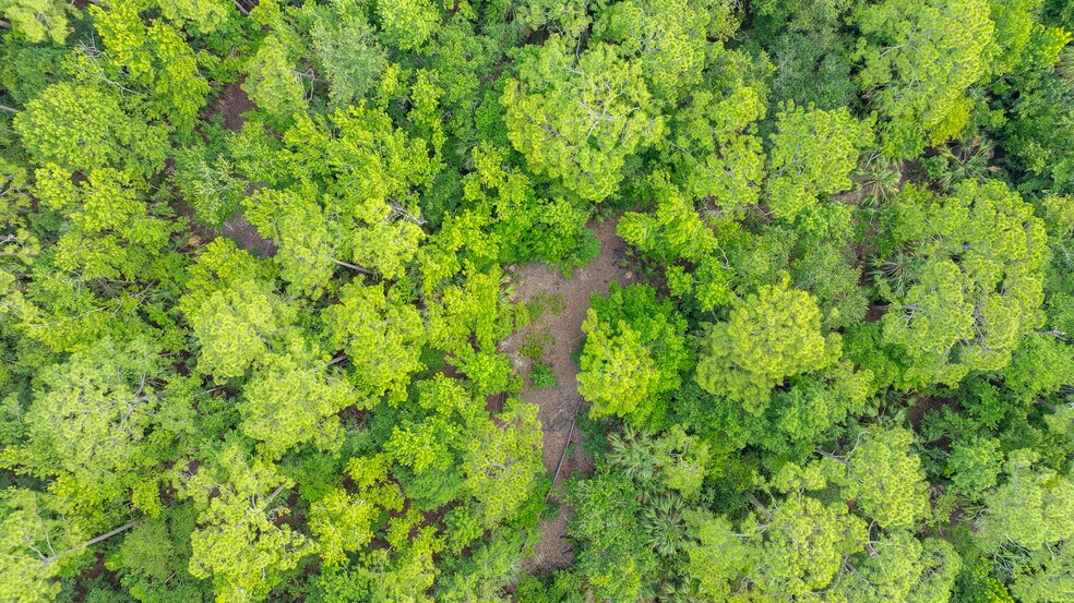 More Photos Of 827 Railroad, Port Orange Land For Sale