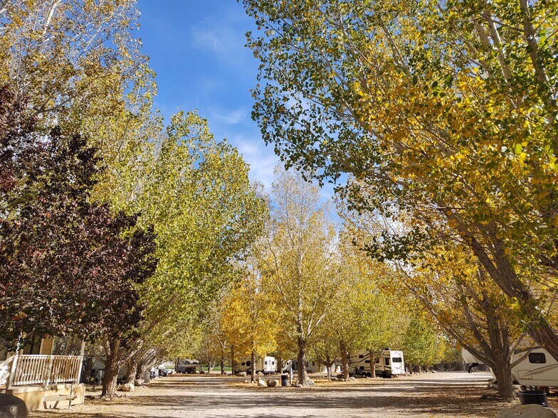 More Photos Of 7990 Highway 264, Dyer Trailer Camper Park For Sale