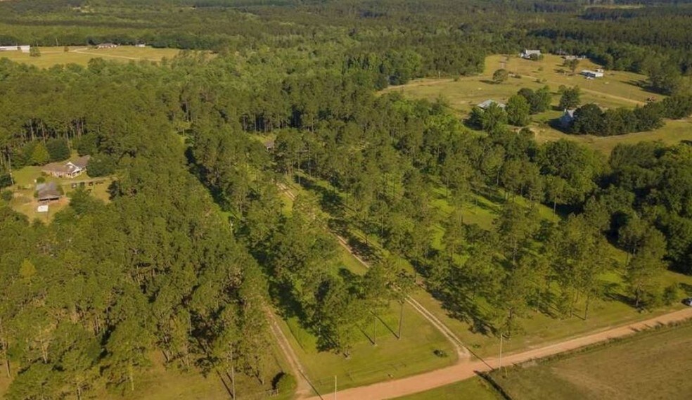 Primary Photo Of 28645 Rose Run Rd, Robertsdale Land For Sale