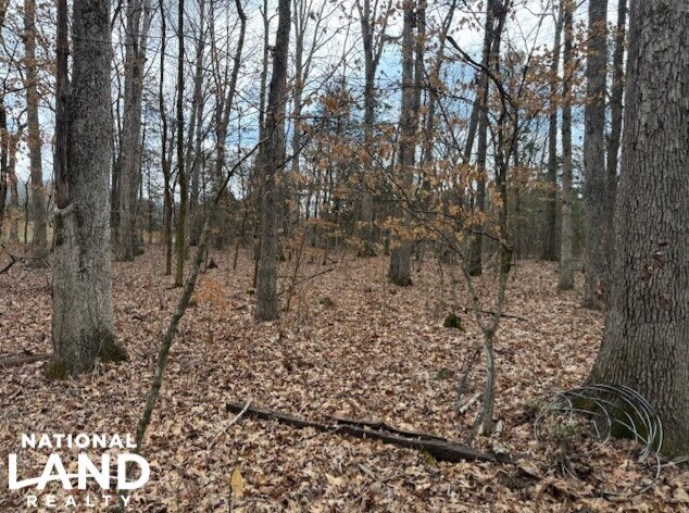 More Photos Of 1351A Old Water Works Rd SW, Fort Payne Land For Sale