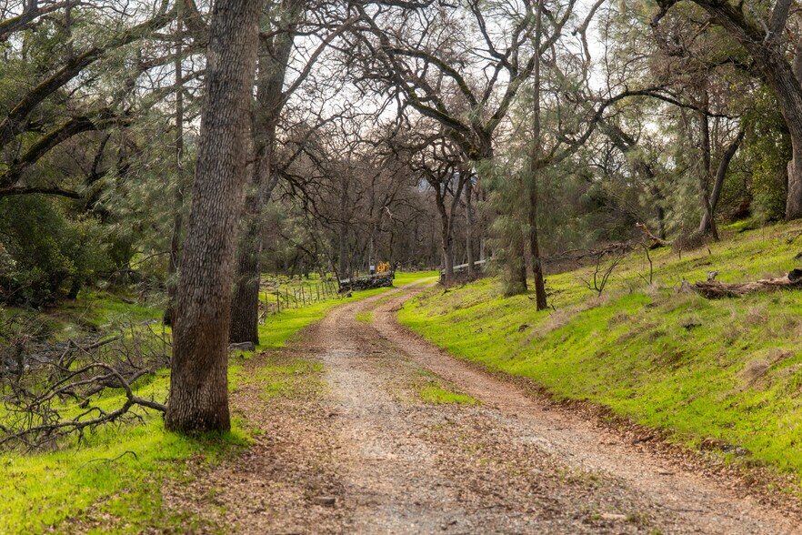 More Photos Of Skunk Gulch Rd, Vallecito Land For Sale