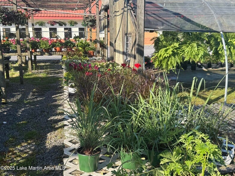 More Photos Of 1217 Tallapoosa St, Alexander City Specialty For Sale