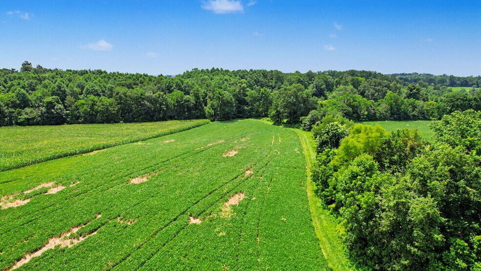 More Photos Of 0 Coffman Rd, Borden Land For Sale