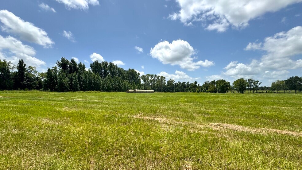 More Photos Of 13530 FM 773, Ben Wheeler Land For Sale