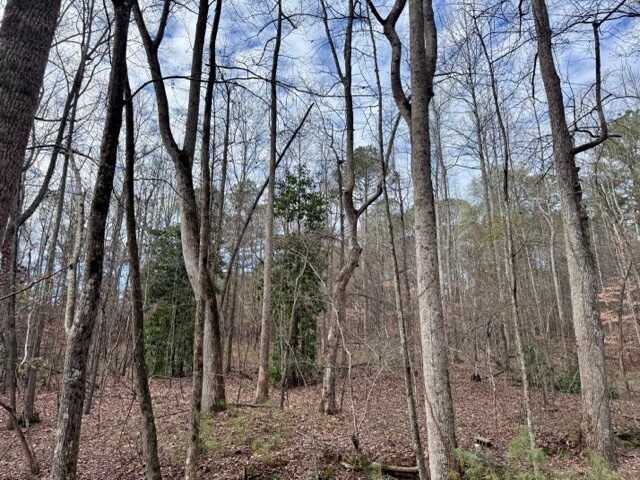 More Photos Of 1300 Peachtree Pky, Cumming Land For Sale