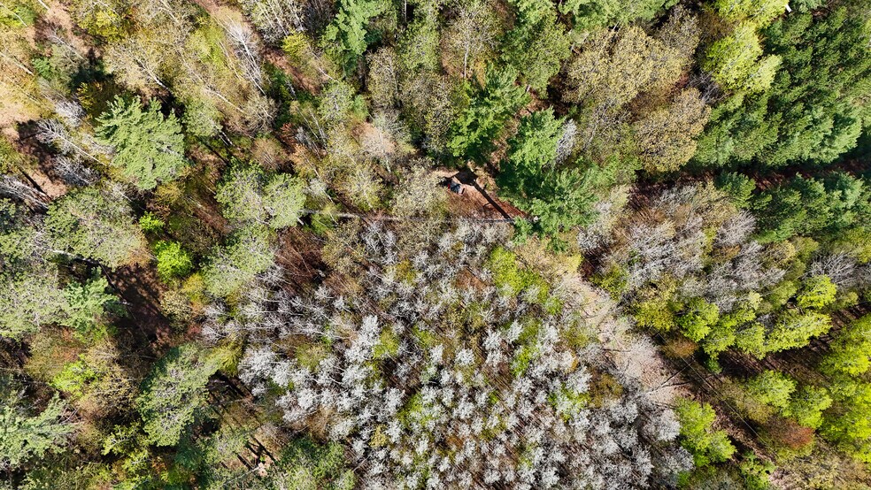 More Photos Of 7849 US Highway 51, Minocqua Sports And Entertainment For Sale