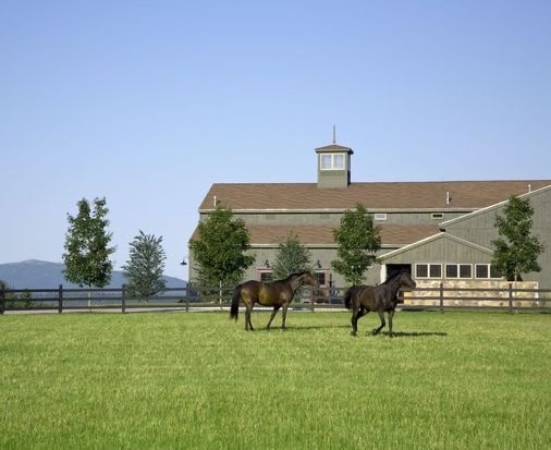 More Photos Of 16 Burke Rd, Peterborough Specialty For Sale