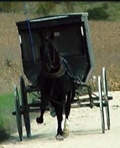 More Photos Of 525 Main Ave N, Harmony Hotel For Sale