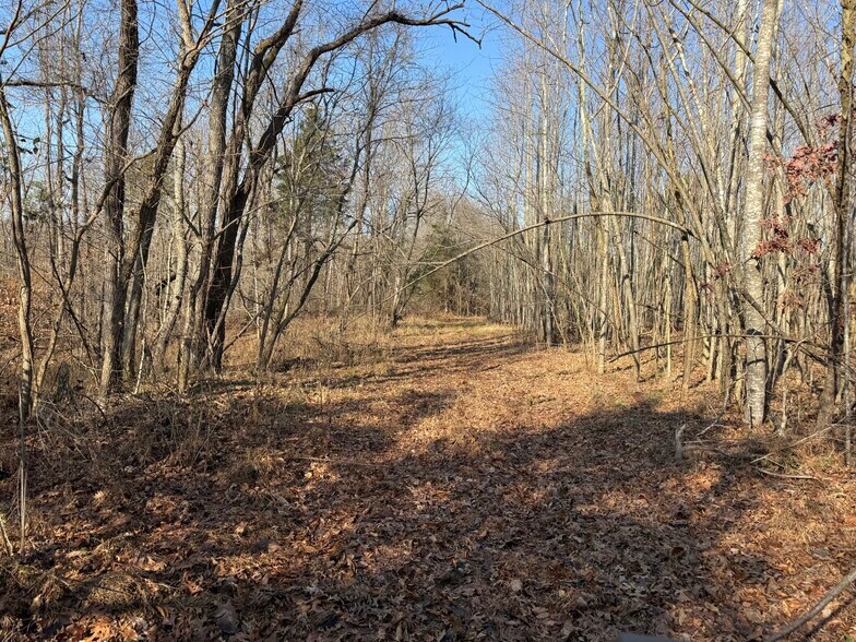 More Photos Of 4604 Summersville Rd, Campbellsville Land For Sale