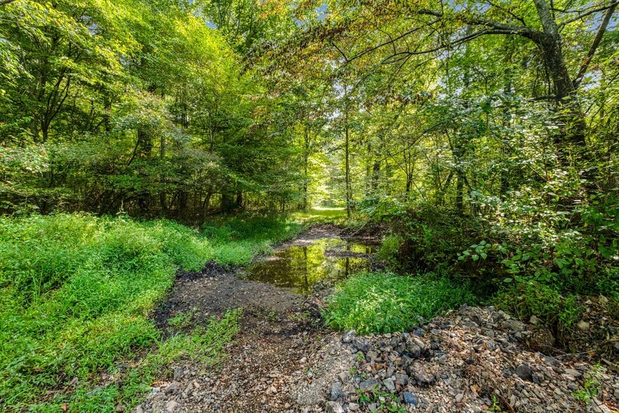 More Photos Of 456 Lakewood Park Rd, Beechgrove General Retail For Sale