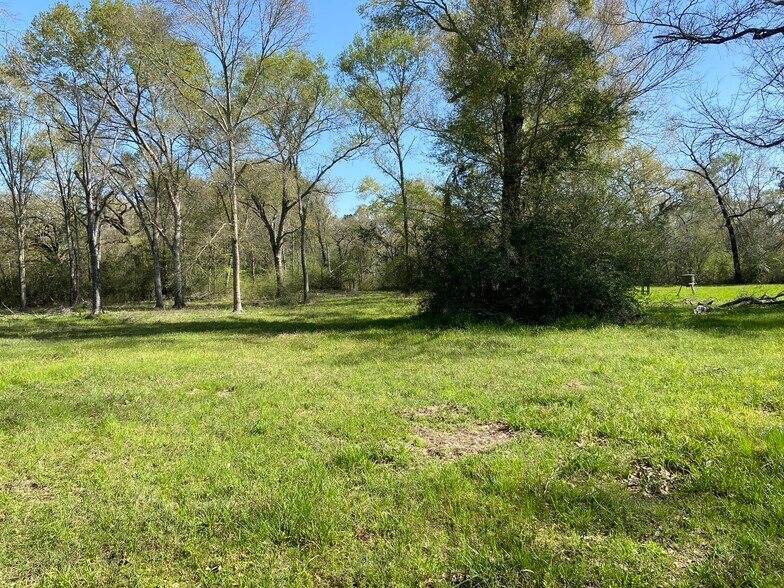 More Photos Of 24030 Hegar Rd, Hockley Land For Sale