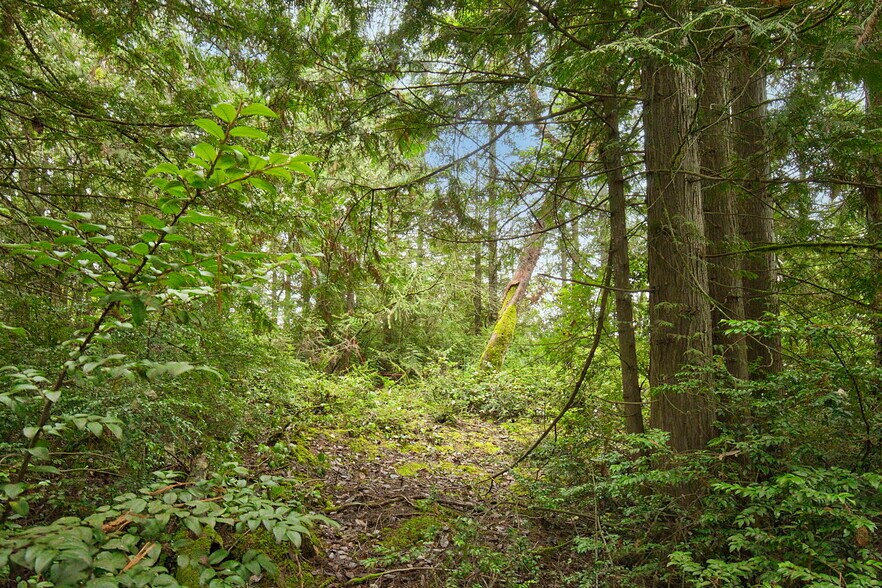 More Photos Of 00 Dickey Rd, Silverdale Land For Sale