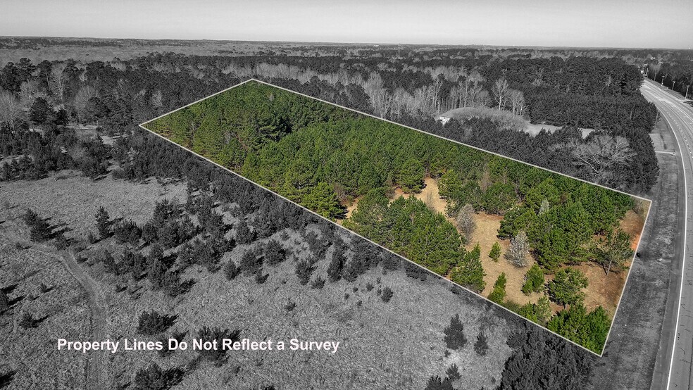 Primary Photo Of Lot 7 Hwy 74 S, Senoia Land For Sale