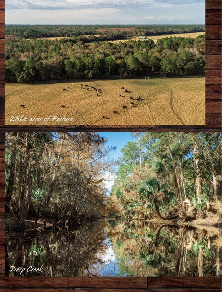 More Photos Of 1411 Osteen Maytown, Osteen Land For Sale