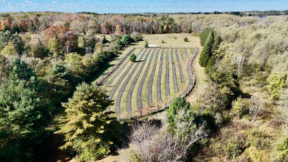 More Photos Of W6098 Stelling Rd, Tomahawk Land For Sale