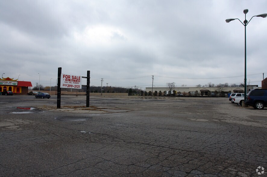 More Photos Of 13800 Sibley Rd, Riverview Land For Sale