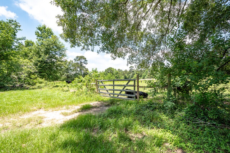 More Photos Of 16100 FM 1485 Rd, Conroe Land For Sale