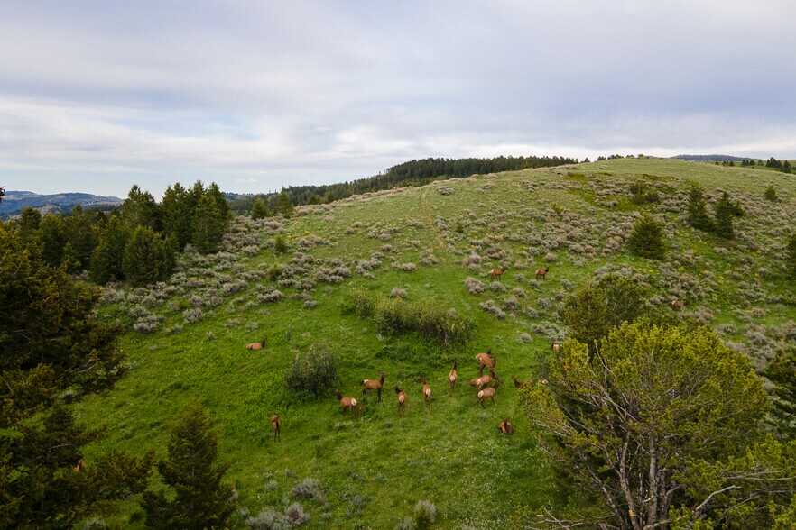 More Photos Of 3 Trail Creek Rd, Bozeman Land For Sale