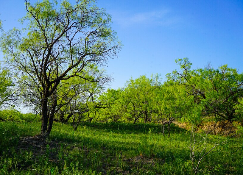 More Photos Of 723 FM 2926, Baird Land For Sale