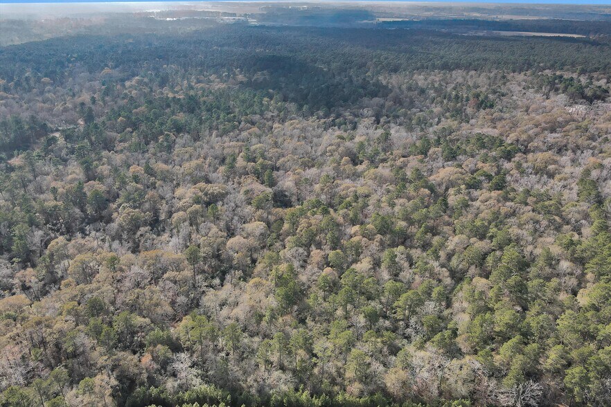 More Photos Of 215 FM 2929 Rd, Huntsville Land For Sale