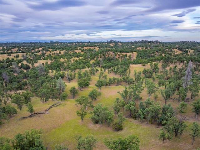 More Photos Of 14015 Hwy 36 W, Cottonwood Land For Sale