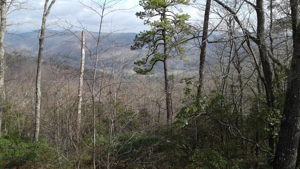 More Photos Of Ridge Rd, Ferguson Land For Sale