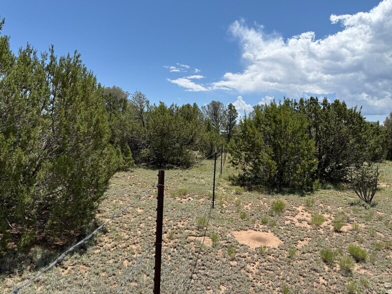 More Photos Of 44 Forest 321 Rd, Estancia Land For Sale