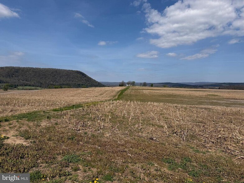 More Photos Of 3581 Union Furnace Rd, Tyrone Land For Sale