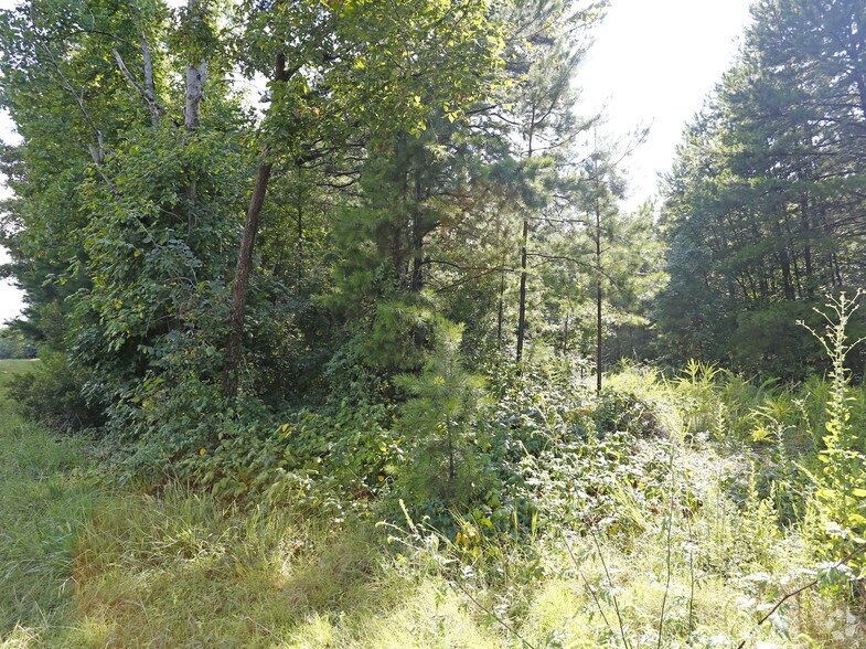 More Photos Of 16265 Statesville Rd, Huntersville Land For Sale