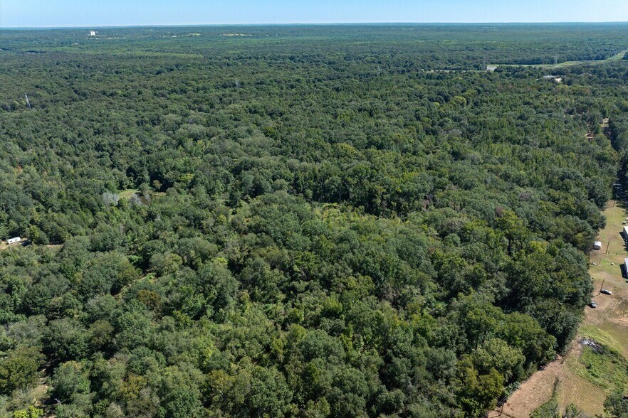 More Photos Of Tract 1 County Road 484, Mineola Land For Sale